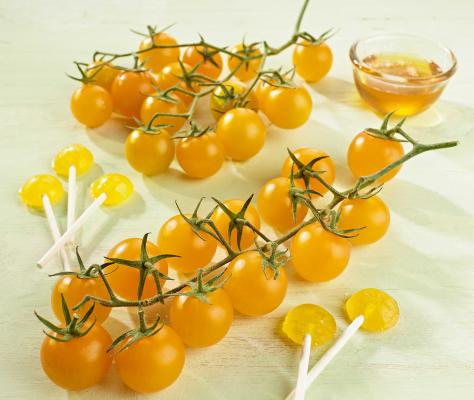 Gelbe Nektar-Cherrytomate 'Solena® Sweet Yellow veredelt'  im 12 cm Topf
